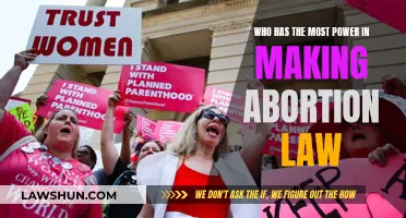 Power Dynamics of Abortion Lawmaking