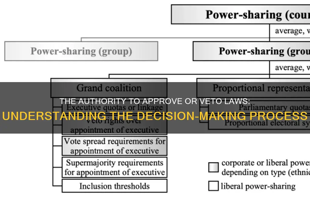 who has the power to approve or veto laws article