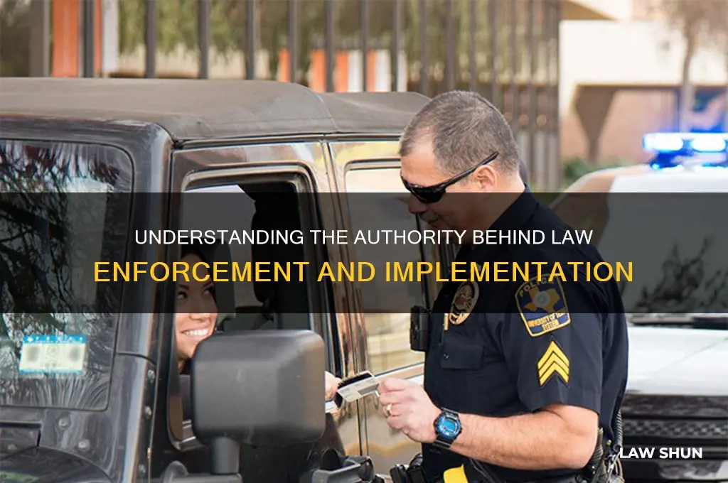 who has the power to carry out laws