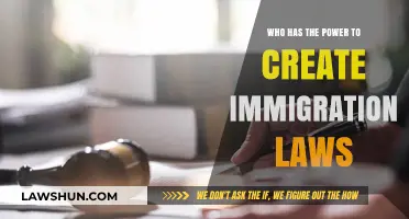 Immigration Law Power: Who Makes the Rules?