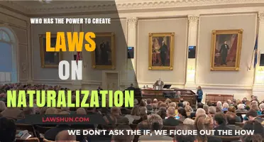 Naturalization Laws: Who Has the Power to Legislate?