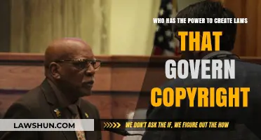 Who Holds the Power to Create Copyright Laws?