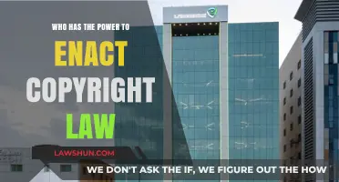 Understanding Copyright Law: Who Holds the Authority to Enact Legislation?