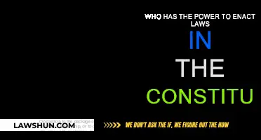 The Power to Enact Laws: A Constitutional Focus
