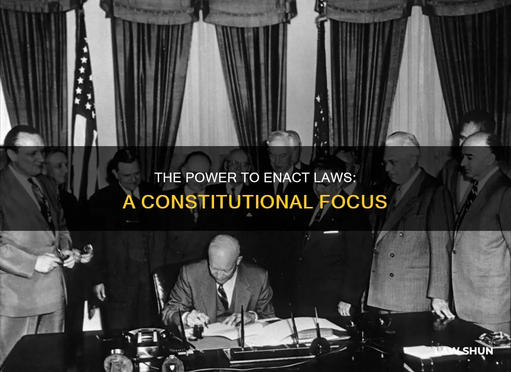 who has the power to enact laws in the constitution