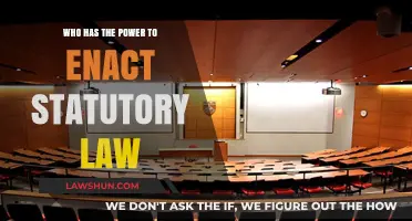 Understanding the Authority Behind Enacting Statutory Law: Who Holds the Power?