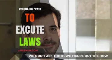 Who Holds the Authority to Execute Laws: A Comprehensive Overview