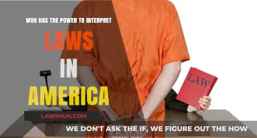 Interpreting America's Laws: Who Holds the Power and Why It Matters