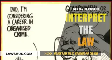 Judicial Authority vs. Legislative Intent: Who Truly Interprets the Law?