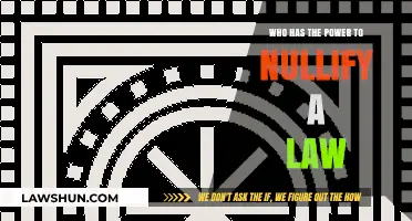 Who Holds the Authority to Nullify a Law? Exploring Legal Power Dynamics