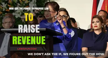 Who Holds the Authority to Propose Revenue-Generating Legislation?