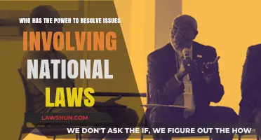 National Law Disputes: Who Holds the Authority to Resolve Them?