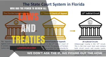Judicial Authority: Who Holds the Power to Review Laws and Treaties?