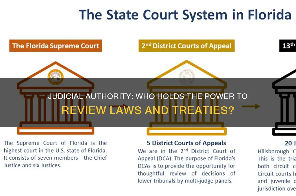 who has the power to review all laws and treaties