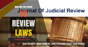 Who Holds the Authority to Review and Challenge Laws?