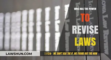 Who Holds the Authority to Revise Laws? A Comprehensive Guide
