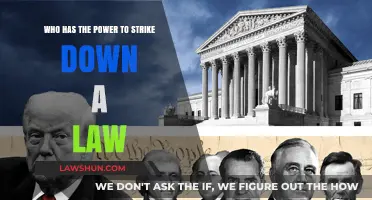 Judicial Authority: Who Holds the Power to Strike Down Laws?