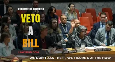 Understanding the Veto Power: Who Can Block a Bill's Passage?