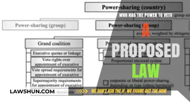 Understanding the Veto Power: Who Can Block Proposed Legislation?