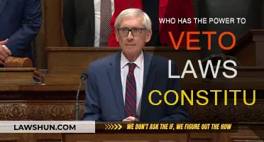 Veto Power: Who Holds the Reins in Lawmaking?