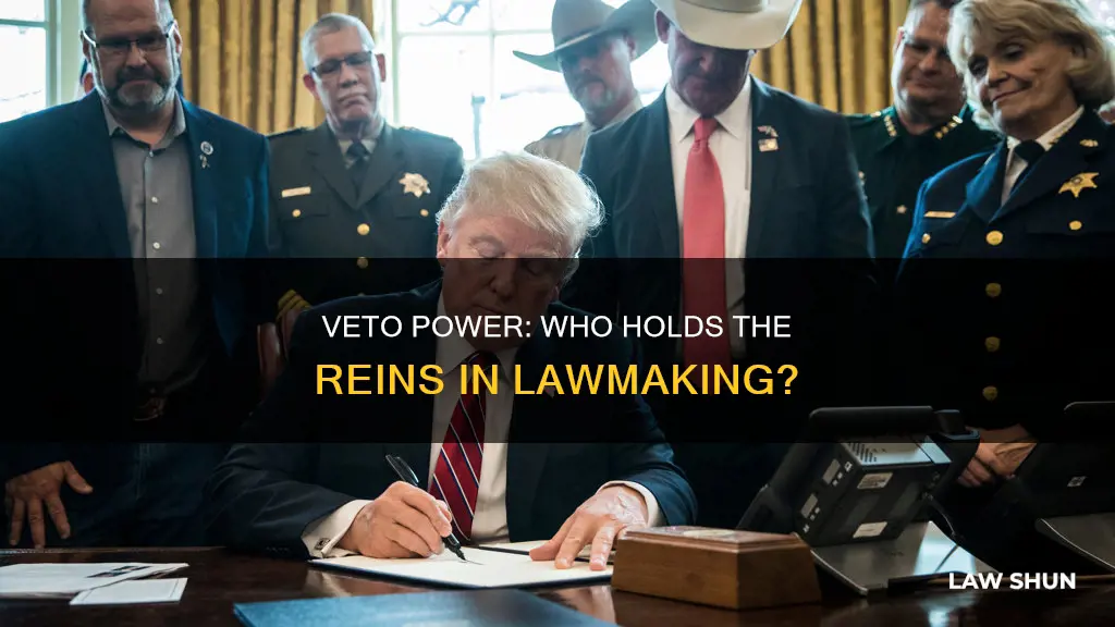 who has the power to veto laws constitution
