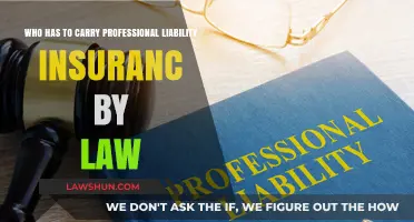 Who Must Legally Carry Professional Liability Insurance by Law?