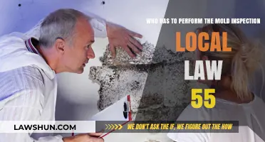 Understanding Local Law 55: Who Conducts Mold Inspections?