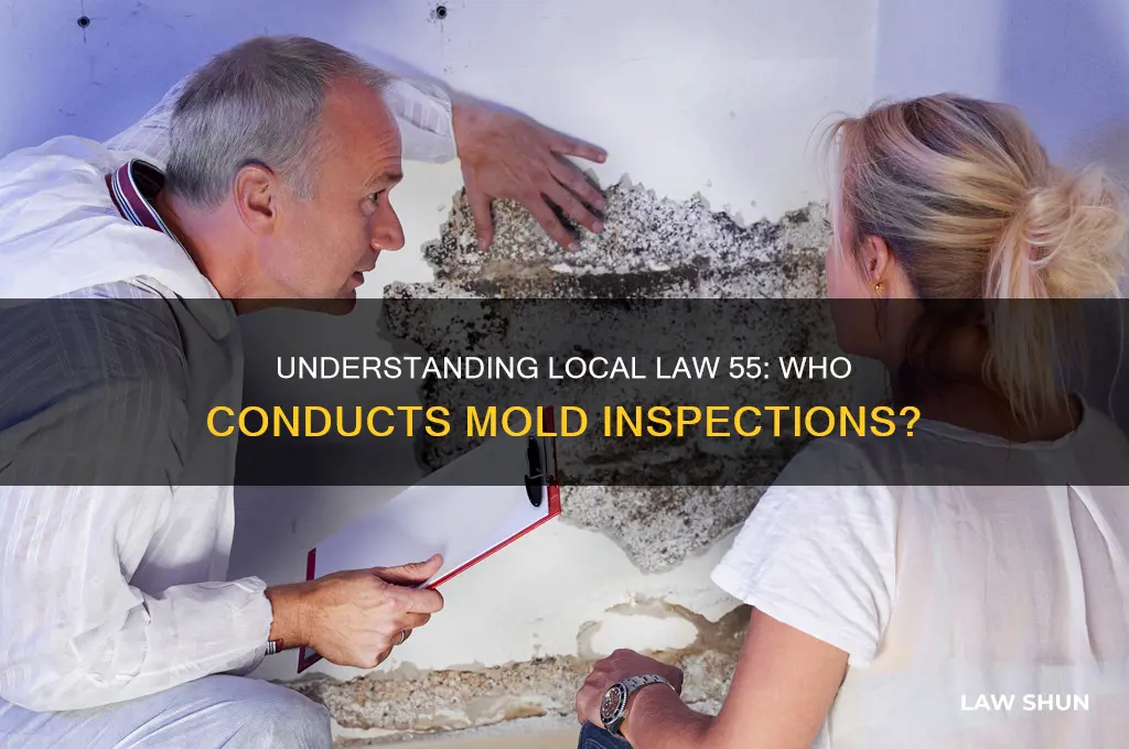 who has to perform the mold inspection local law 55