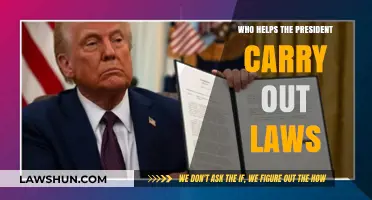 Executive Branch Allies: Key Players Assisting the President in Law Enforcement
