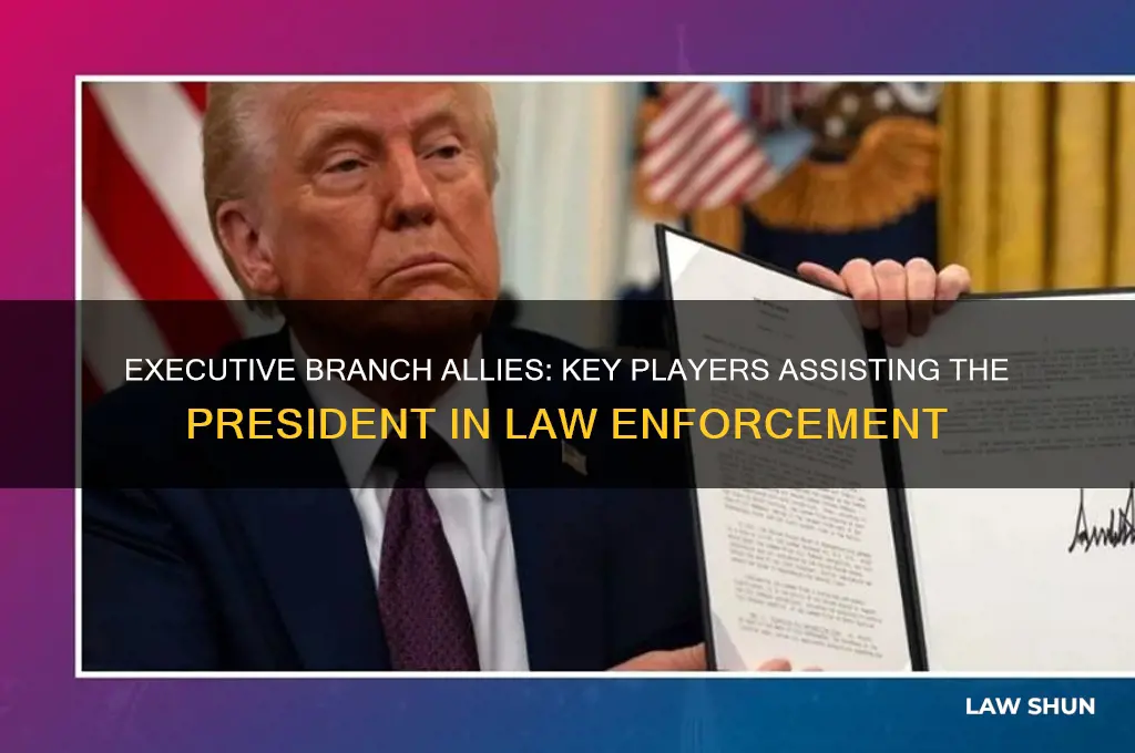 who helps the president carry out laws