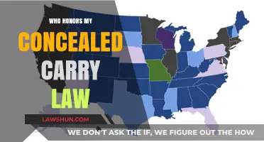 Understanding Reciprocity: Which States Honor My Concealed Carry Permit?
