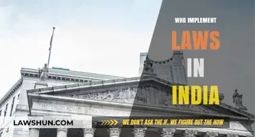 Implementing Laws in India: Who's Responsible?