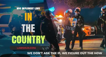 Understanding the Role of Law Enforcement in Implementing National Laws