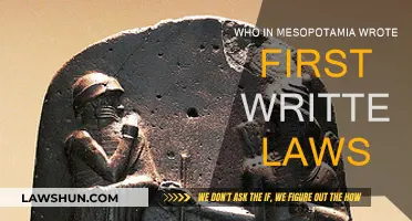 Mesopotamia's First Written Laws: The Ancient Scribes