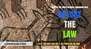 Biblical Figures Before the Law: Exploring Pre-Mosaic Covenant Lives