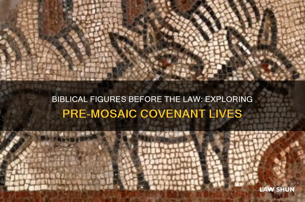 who in the bible besides abraham was before the law