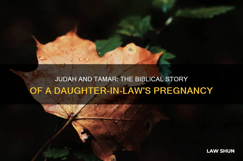 who in the bible got his daughter in law pregnant