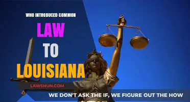 Louisiana's Common Law History: An Introduction