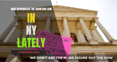 New York's Abortion Law: Who Made It Happen?