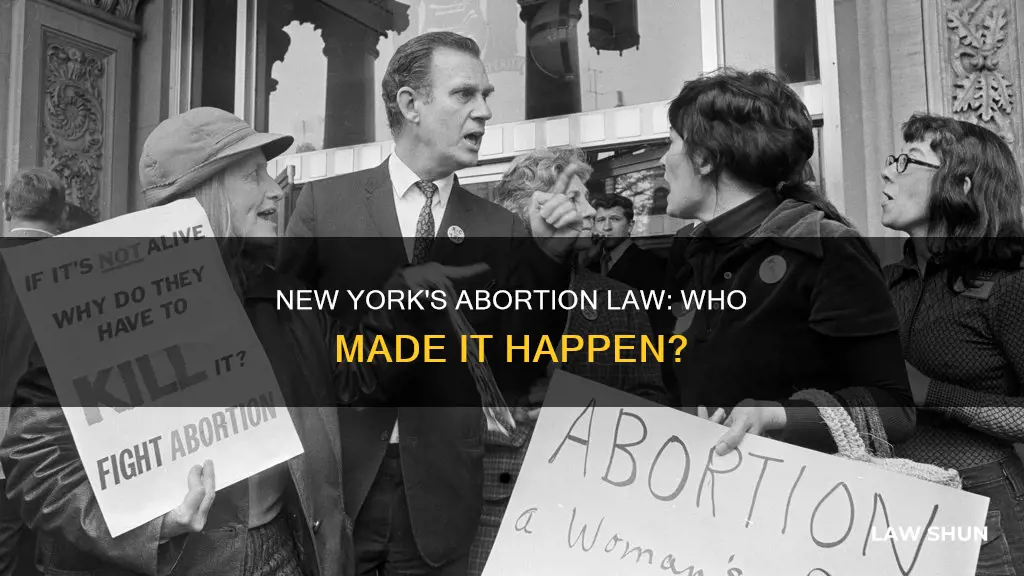 who introduced the abortion law in ny lately