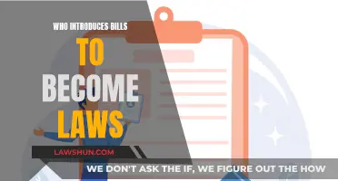 How Laws are Proposed: Bills to Laws