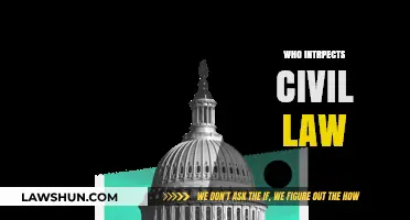 Who Oversees Civil Law Enforcement and Compliance?