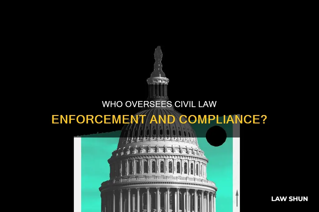 who intrpects civil law