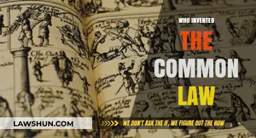 The Evolution of Common Law: A Historical Perspective