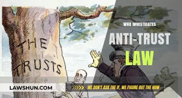 Who Enforces Anti-Trust Laws: Key Agencies and Their Roles