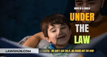 Understanding Legal Definitions: Who Qualifies as a Child Under the Law?