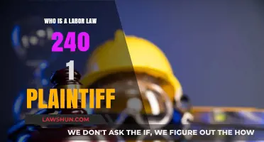 Understanding Labor Law 240(1) Plaintiff Eligibility and Rights