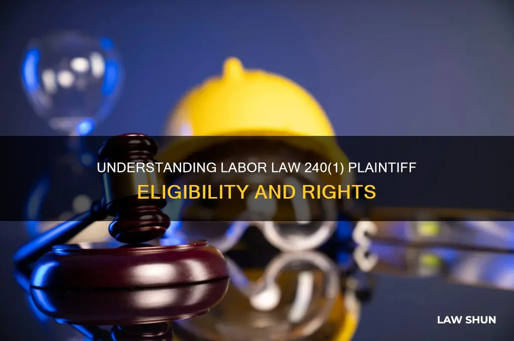 who is a labor law 240 1 plaintiff