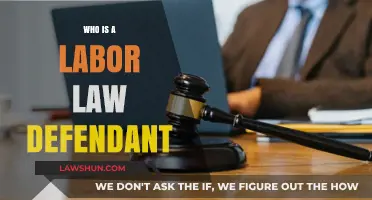 Understanding Labor Law Defendants: Who Can Be Sued and Why