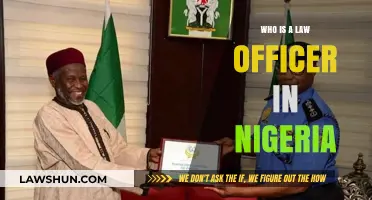 Understanding the Role of a Law Officer in Nigeria's Legal System